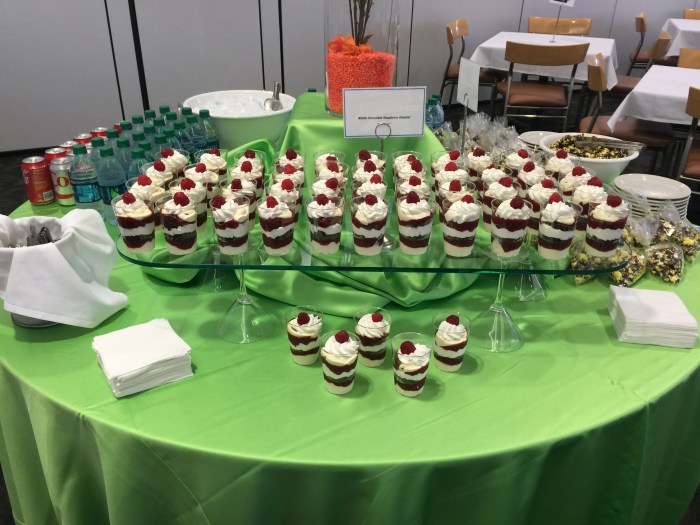 ChocolateRaspberryShooter1